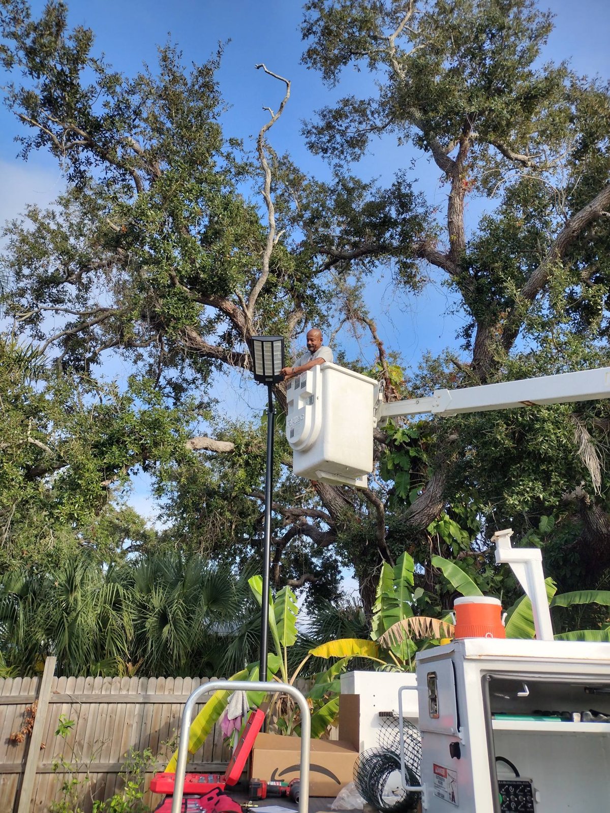 Tree work with a bucket truck