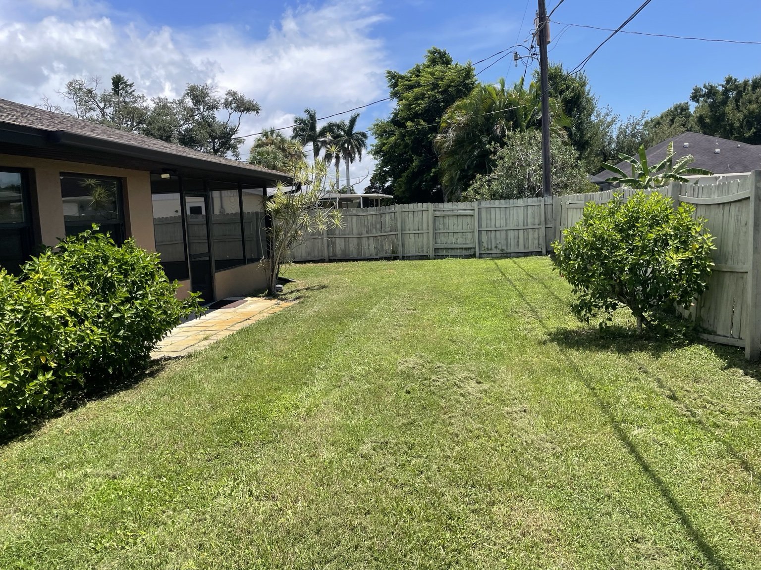 Finished backyard lawn